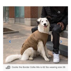 Canada Pooch Sherpa “Cool Factor” Dog coat 22”